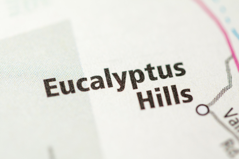 Custom Builds in Eucalyptus Hills, CA